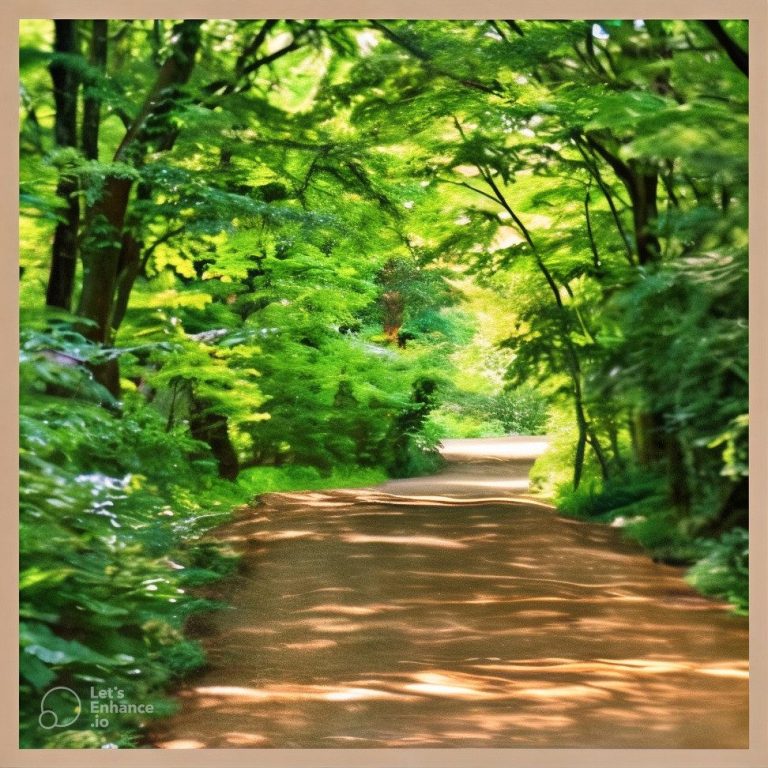 Viager Montaigne – Chemin vers la sérénité Sentier boisé avec des arbres verdoyants et une lumière douce filtrant à travers les feuilles.
